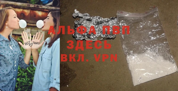 таблы Бородино