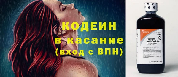 таблы Бородино